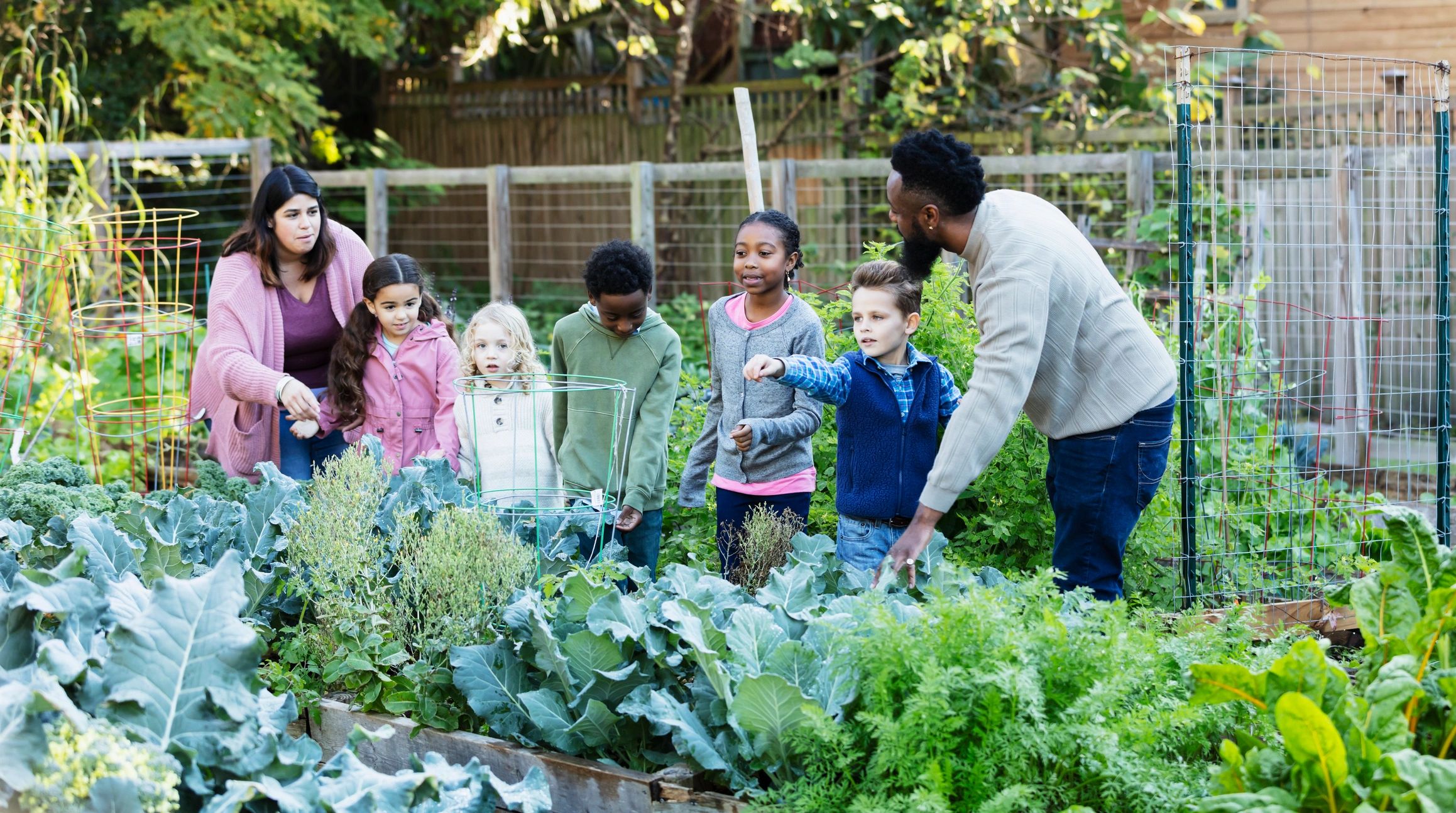 Children and educators learning together in a garden